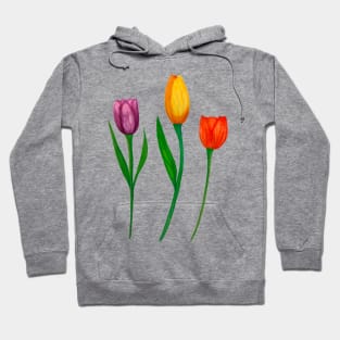 Three bright watercolor tulips Hoodie